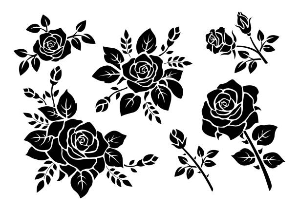 Beautiful set of roses, black silhouette vector illustration isolated on white background, design elements for decoration