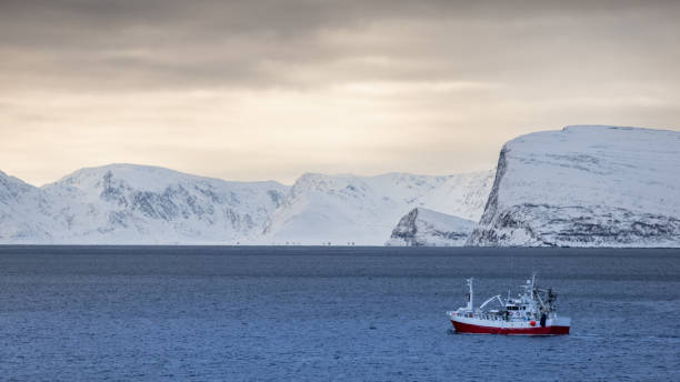 istock Cloudy arctic landscape from Hammerfest - Norway. 2025103569