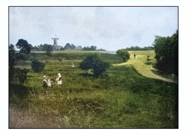 Antique London's photographs: Wimbledon Common