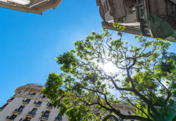 Uruguay, Montevideo streets and architecture in historic capital city center famous tourist attraction.