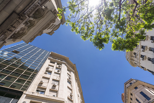 Looking up at a mix of traditional and modern buildings in Buenos Aires, framed by green treetops and a clear blue sky.