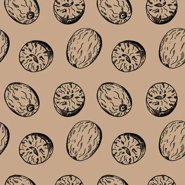 Vector illustration of Nutmeg sketch seamless pattern engraved hand drawn vector illustration repeating background with nuts. Backdrop Mace plant, spicy nut design rapport for cooking, medicine, perfumery for textile, print