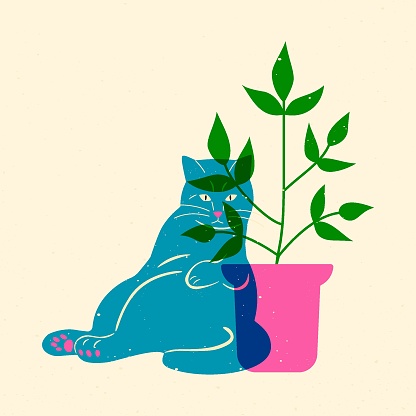 Risograph cartoon cat. Abstract cat with plant overlay riso print, colorful graphic element for textile poster. Vector illustration.