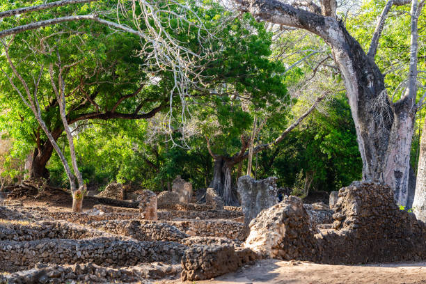 istock Ruins of Gedi. Watamu, Kenya. 2025203324