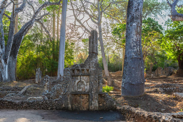 istock Ruins of Gedi. Watamu, Kenya. 2025208563
