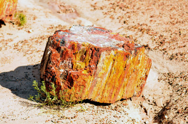 Rugged and Scenic landscape of the ancient petrified forest national park in Arizona