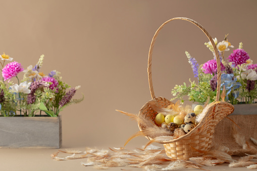 Easter composition with eggs, feathers, and spring flowers on a beige background. Copy space.