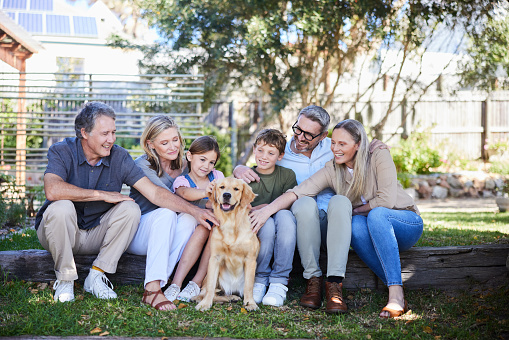 Smiling multi-generation family petting their family's golden retriever while sitting outside in their back yard in summer