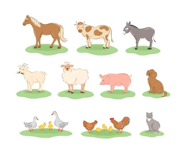 Vector illustration of Farm animals 06