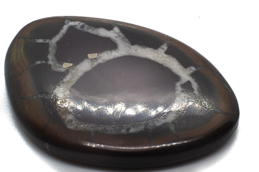 Dragon stone, Septarian Geode polished shiny crystal cabochon on white surface isolated. Carbonate mineral Brown and black gemstone geode with white mineral veins isolated.