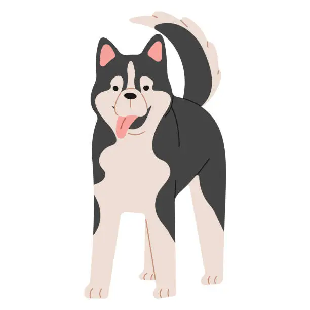 Vector illustration of Siberian Husky 1