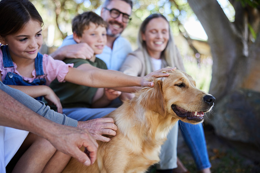Loving multi-generation family petting the family golden retriever while sitting outside in their back yard in summer