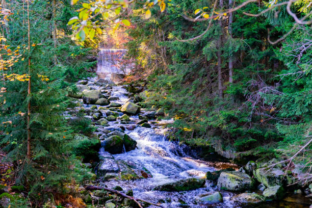 istock Snezka. Poland. Karpach. Waterfall in the forest. 2025257816