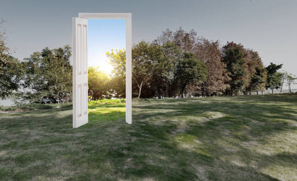 istock Open door on the meadow 2025258390