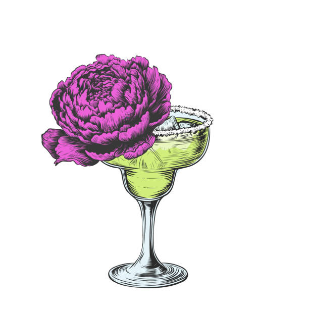 牡丹のマルガリータグラス。花が咲き誇る爽やかな夏のアルコールカクテル。バーやパーティーのためのグラスに塩を入れた繊細な飲み物。イベント用のシャンパン。白で隔離されたベクト� - glass water freshness tonic water点のイラスト素材／クリップアート素材／マンガ素材／アイコン素材