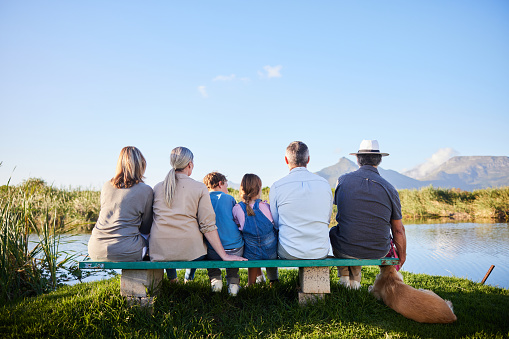 Rear view of a multi-generation family looking at the scenic view while sitting together in a nature reserve in summer