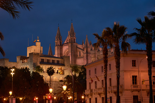 Night atmosphere in Palma de Mallorca with palm trees at the back of the La Seu Cathedral