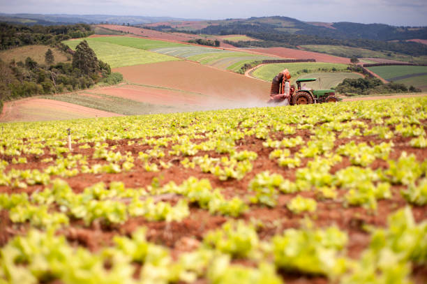 Agriculture