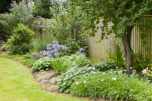 istock Flowerbed in a beautfiful English garden in summer, UK 2025317708