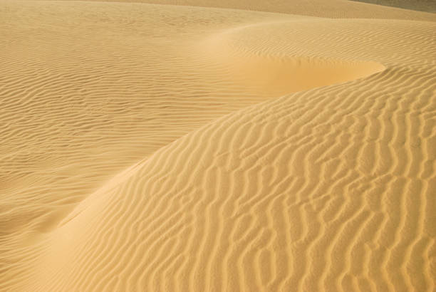 Desert sand pattern during the day light. Golden sandy waves or dunes. Wave of sand. Jaisalmer, Rajasthan, India, Asia.