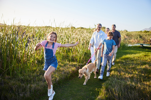 Smiling little girl and her multi-generation family and dog walking along a path in a scenic nature reserve in summer