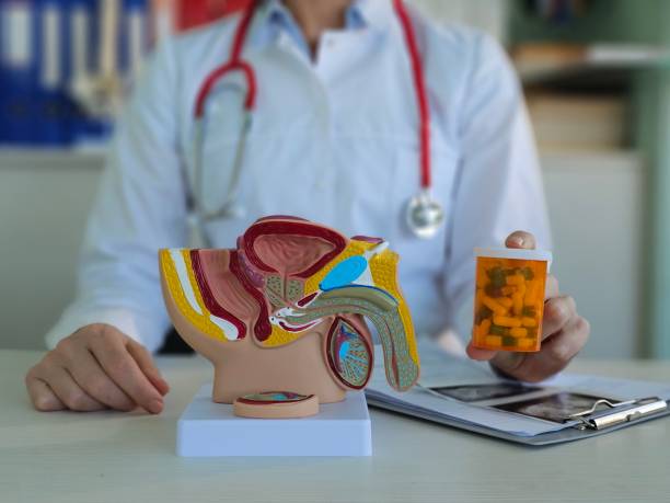 istock Doctor makes diagnosis and gives advice on treating male erectile dysfunction 2025364929