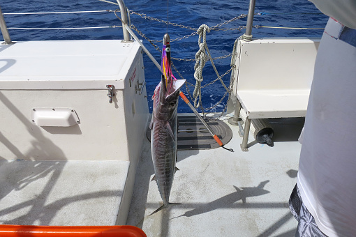 [Guam] Big fish caught off the coast.