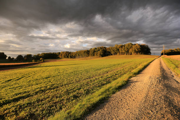 agricultural field with dramatic storm sky in Switzerland