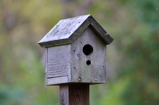 A bird house on a wooden post in the garden.