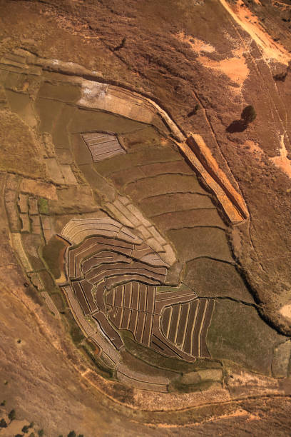 istock high angle view of terraced rice fields in Madagascar 2025368728