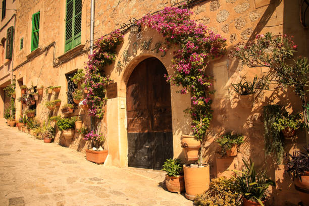 istock downtown alley of Valldemossa in Majorca 2025373578