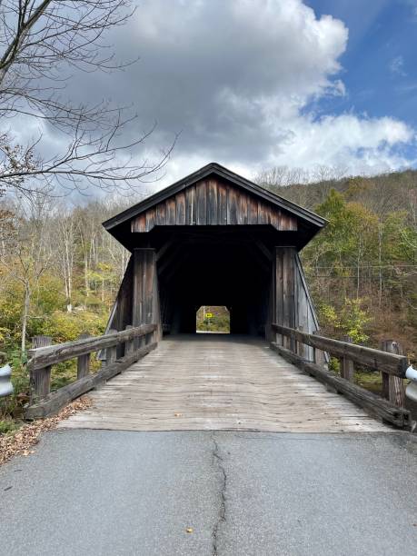 istock Livingston Manor Covered Bridge 2025379606