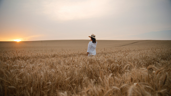 Rear View Of Carefree Woman In Hat Admiring Beautiful Sunset While Standing Amidst A Vast Wheat Field