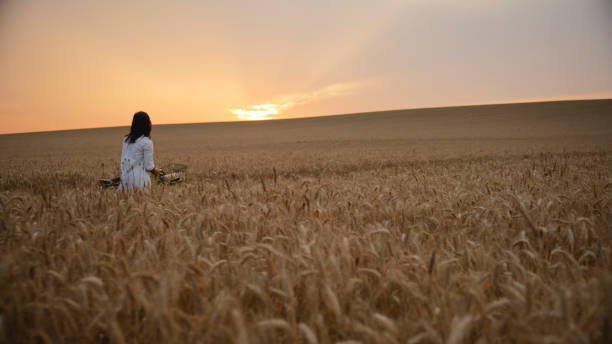 Free Stock Photo of Woman With Long Hair Standing in a Field | Download ...