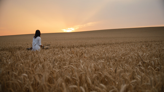 Woman Stands With Her Bicycle In A Serene Wheat Field, Captivated By The Beauty Of A Breathtaking Sunset