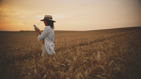 Woman In Hat Standing Amidst A Vast Wheat Field, Engrossed In Her Mobile Phone During Sunset