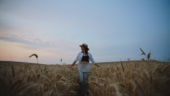 Woman Strolls Through A Wheat Field, Tenderly Touching The Golden Ears During This Tranquil Moment