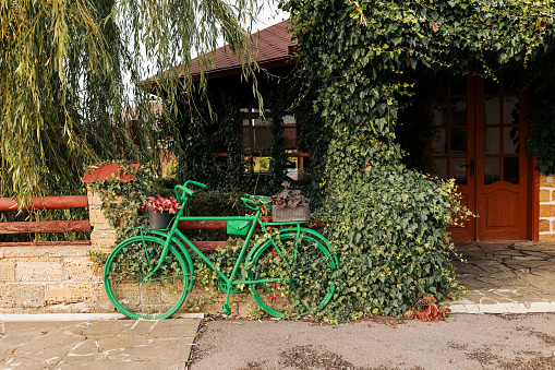 Exterior of rural building facade with wooden brown entrance door with glass, window overgrown green ivy on bricks wall, stone path, fence and green retro bicycle in front