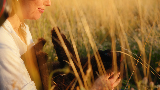 Woman Affectionately Stroking Her Persian Cat In A Peaceful Grass Field