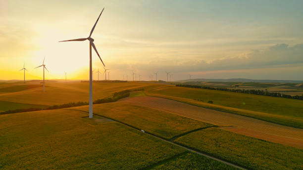 istock Sunset Scene with Wind Turbines among Sunflower Blooms 2025390252