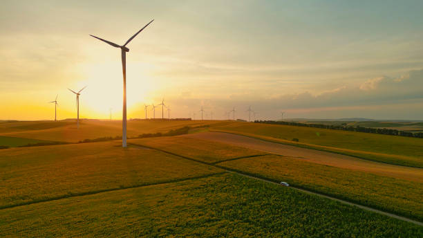 istock Renewable Energy in Action on Sunflower Farm under Sunset 2025390257