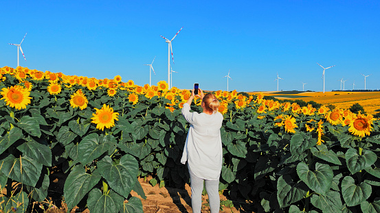 Woman Photographing Wind Turbines amidst Picturesque Sunflower Field,the Contrast of Yellow Blooms against the Blue Sky Providing a Stunning Backdrop for her Artistic Pursuit.