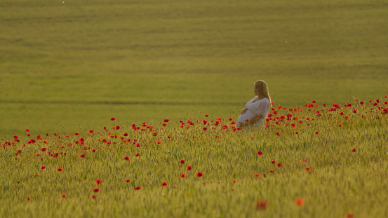 Maternal Serenity,Pregnant Woman Caresses Her Stomach,Standing Amidst A Vast Wheat And Poppy Field