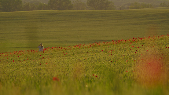 Capturing Moments,Pregnant Woman With Mobile Phone In A Vast Green Wheat Field Adorned With Red Poppies