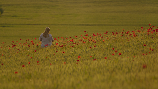 Expectant Joy,Pregnant Woman Amidst A Green Wheat Field With Poppies,Surrounded By Serene Nature