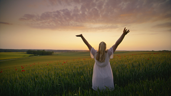 Expectant Beauty: A Pregnant Woman Stands With Arms Outstretched In A Poppy Wheat Field Against The Sunset Sky