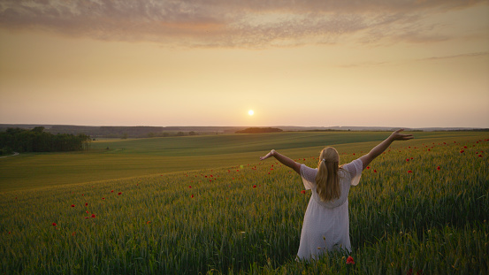 Expectant Beauty: A Pregnant Woman Stands With Arms Outstretched In A Poppy Wheat Field Against The Sunset Sky