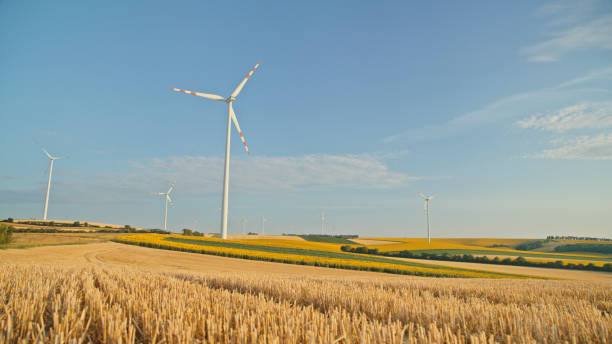 istock Patchwork Agricultural Landscape with Wind Turbines on a Sunny Day 2025394601