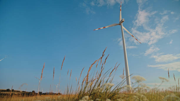 istock Windmills Turning on Sunny Grassy Landscape against Sky 2025395192