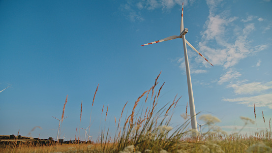 Wind Turbines Standing Tall on Grassy Landscape,Converting the Natural Force of the Wind into Usable Energy,a Serene Tableau Illustrating the Synergy between Nature and Sustainable Technology.